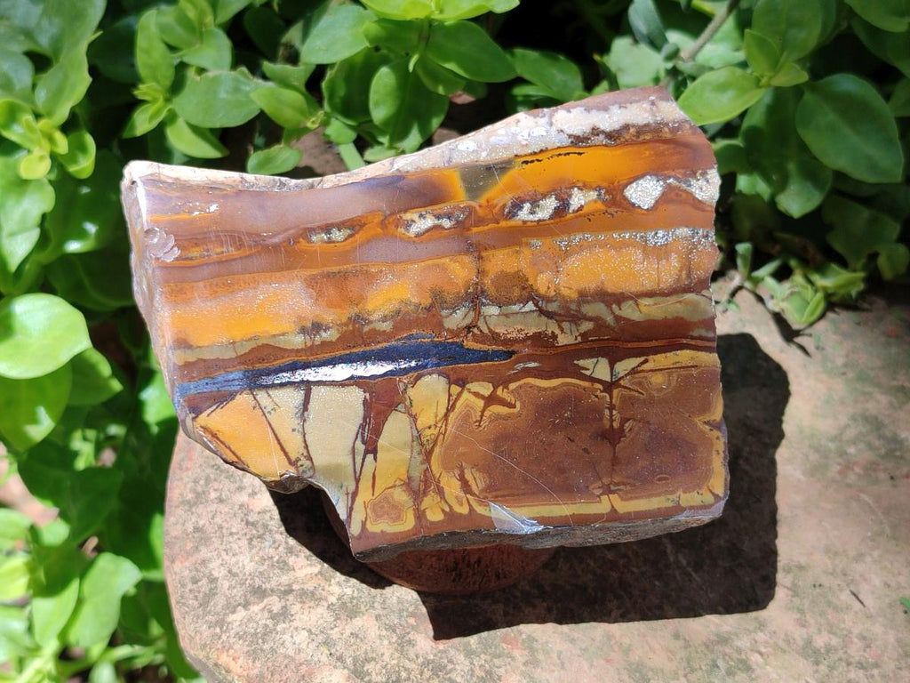 Polished On One Side Nguni Jasper Slices x 4 From Northern Cape, South Africa