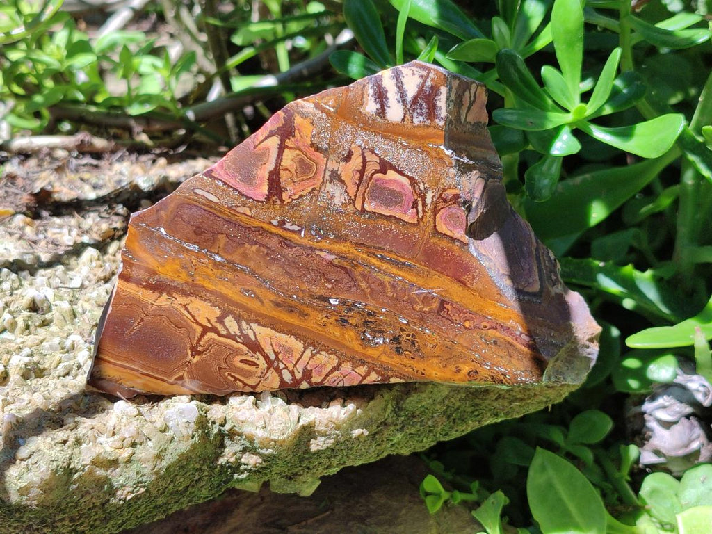 Polished On One Side Nguni Jasper Slices x 4 From Northern Cape, South Africa