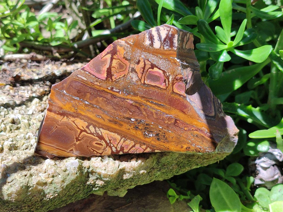 Polished On One Side Nguni Jasper Slices x 4 From Northern Cape, South Africa