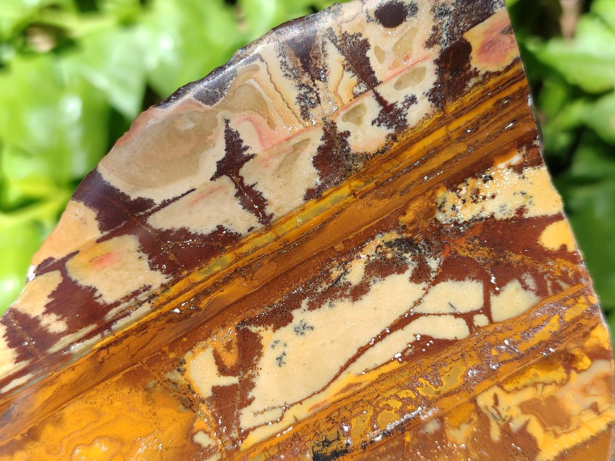 Polished On One Side Nguni Jasper Slices x 4 From Northern Cape, South Africa