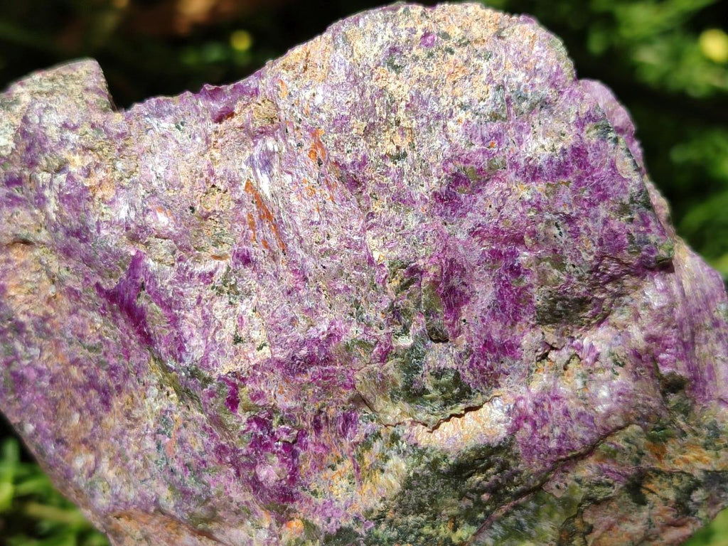 Natural Stichtite Cobbed Specimens x 6 From Barberton, South Africa