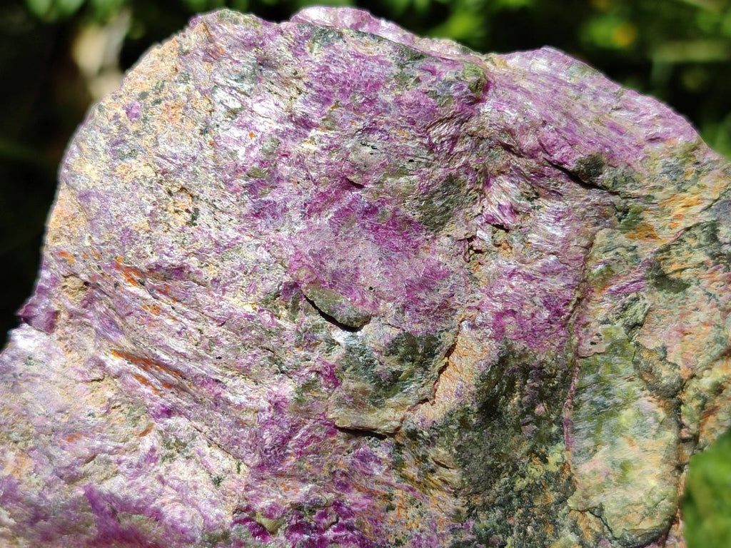 Natural Stichtite Cobbed Specimens x 6 From Barberton, South Africa