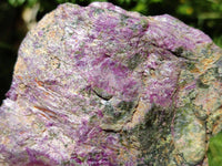 Natural Stichtite Cobbed Specimens x 6 From Barberton, South Africa