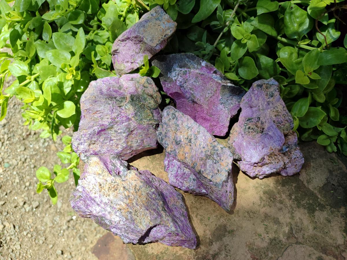 Natural Stichtite Cobbed Specimens x 6 From Barberton, South Africa