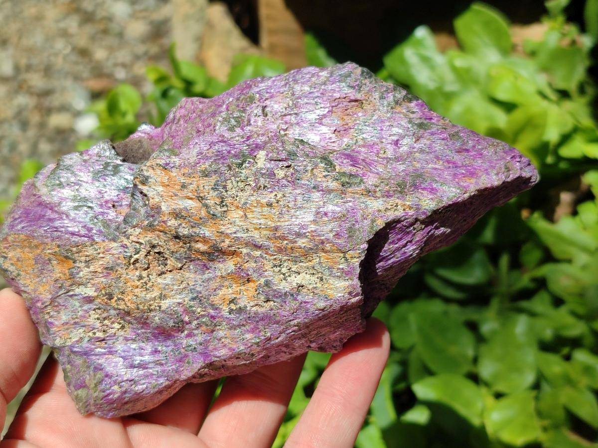 Natural Stichtite Cobbed Specimens x 6 From Barberton, South Africa