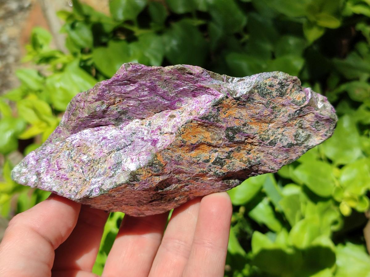 Natural Stichtite Cobbed Specimens x 6 From Barberton, South Africa