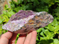 Natural Stichtite Cobbed Specimens x 6 From Barberton, South Africa