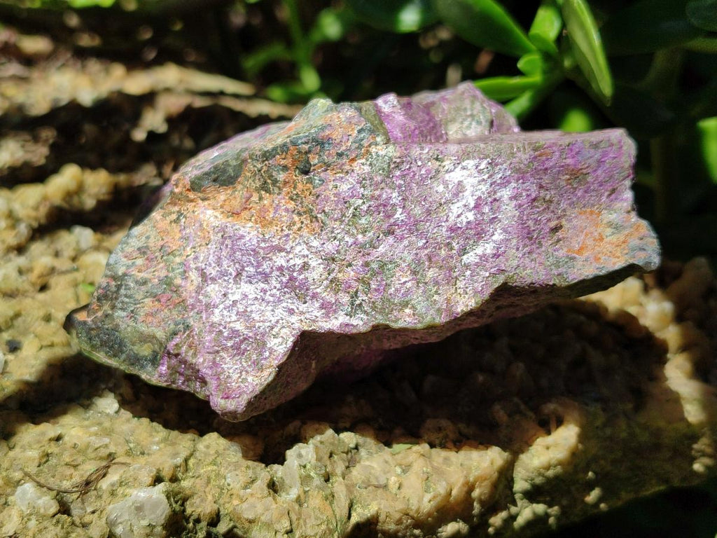 Natural Stichtite Cobbed Specimens x 6 From Barberton, South Africa