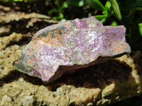 Natural Stichtite Cobbed Specimens x 6 From Barberton, South Africa