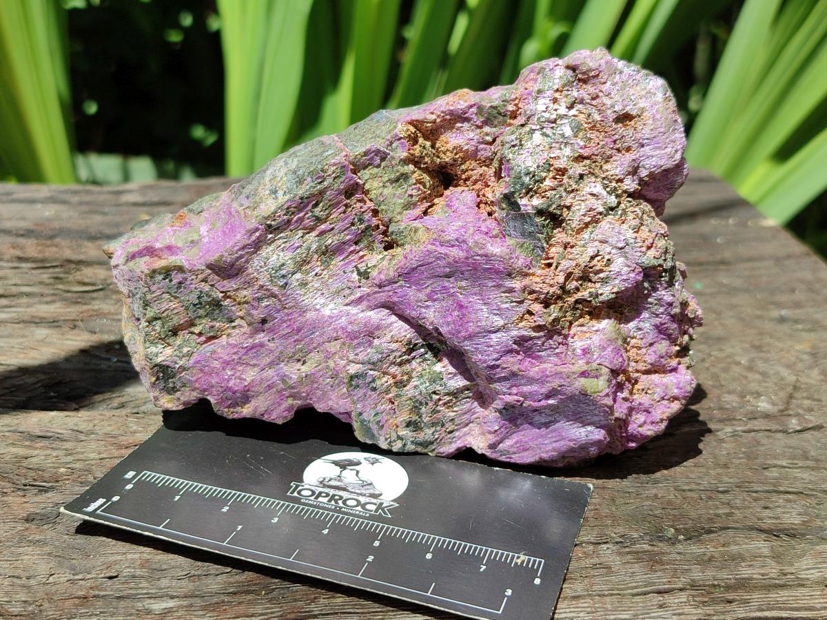 Natural Stichtite Cobbed Specimens x 6 From Barberton, South Africa