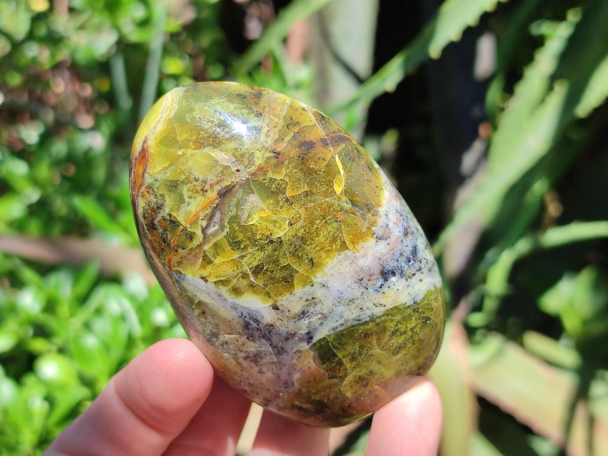 Polished Green Opal Standing Free Forms x 6 From Betroka, Madagascar