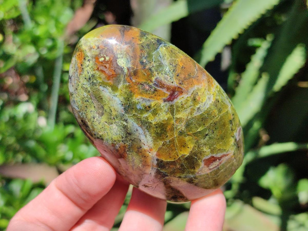 Polished Green Opal Standing Free Forms x 6 From Betroka, Madagascar