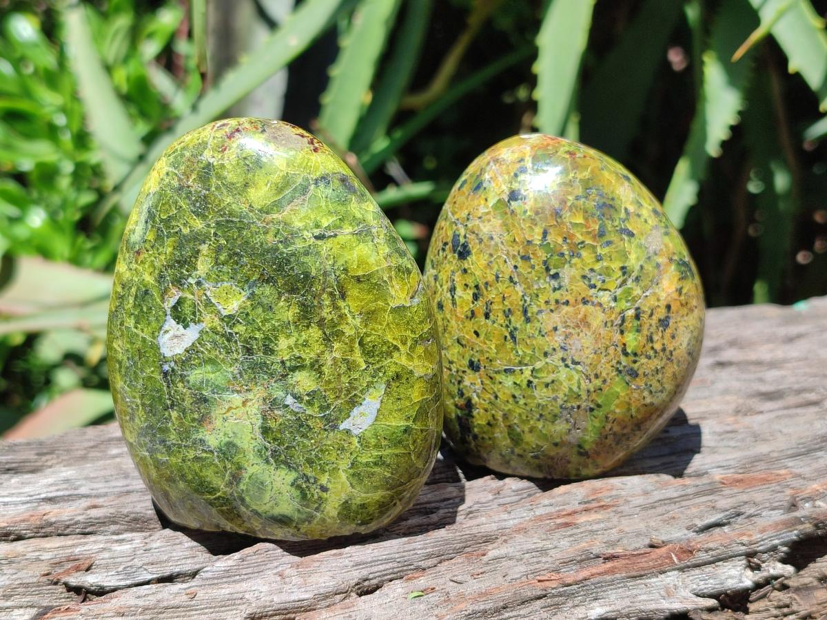 Polished Green Opal Standing Free Forms x 6 From Betroka, Madagascar