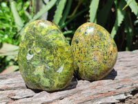 Polished Green Opal Standing Free Forms x 6 From Betroka, Madagascar
