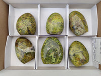 Polished Green Opal Standing Free Forms x 6 From Betroka, Madagascar