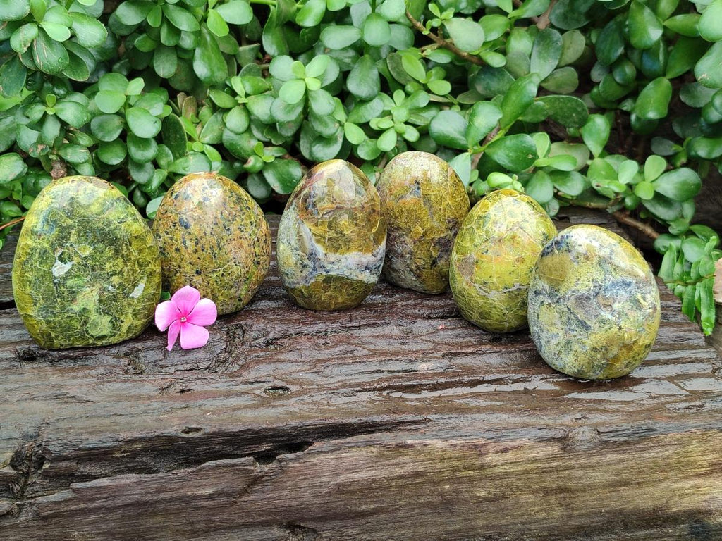 Polished Green Opal Standing Free Forms x 6 From Betroka, Madagascar
