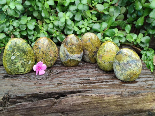 Polished Green Opal Standing Free Forms x 6 From Betroka, Madagascar