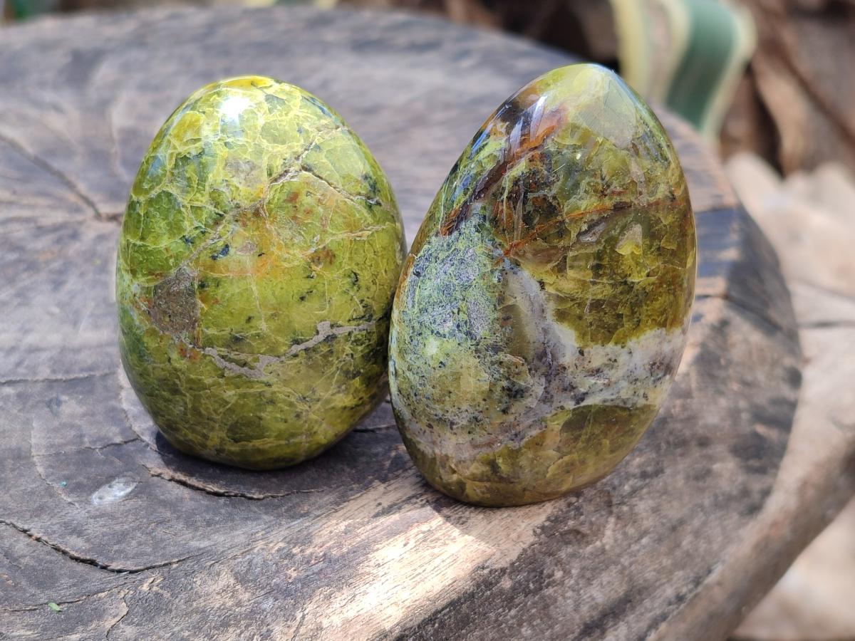 Polished Green Opal Standing Free Forms x 6 From Betroka, Madagascar