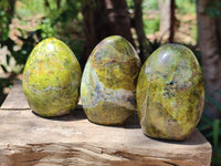 Polished Green Opal Standing Free Forms x 6 From Betroka, Madagascar