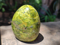 Polished Green Opal Standing Free Forms x 6 From Betroka, Madagascar