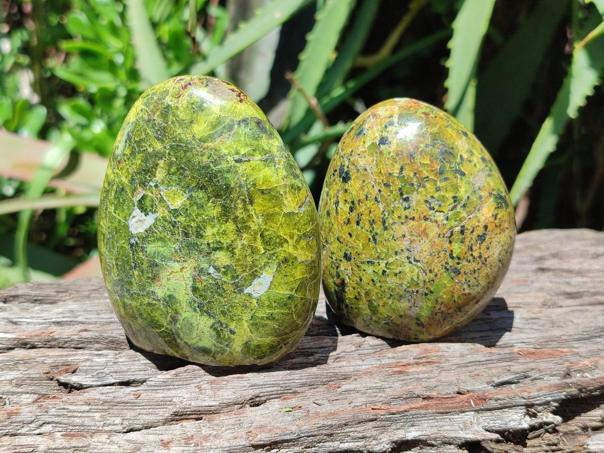 Polished Green Opal Standing Free Forms x 6 From Betroka, Madagascar