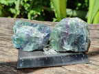 Natural Watermelon Fluorite Cobbed Specimens x 24 From Uis, Namibia