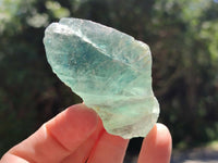 Natural Watermelon Fluorite Cobbed Specimens x 24 From Uis, Namibia