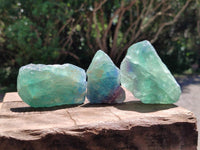 Natural Watermelon Fluorite Cobbed Specimens x 24 From Uis, Namibia