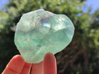 Natural Watermelon Fluorite Cobbed Specimens x 24 From Uis, Namibia