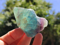 Natural Watermelon Fluorite Cobbed Specimens x 24 From Uis, Namibia