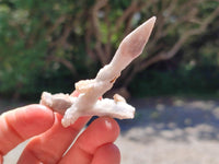 Natural Drusy Quartz Coated Black Tipped Calcite Pseudomorph Specimens x 12 From Albert's Mountain, Lesotho