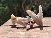 Natural Drusy Quartz Coated Black Tipped Calcite Pseudomorph Specimens x 12 From Albert's Mountain, Lesotho