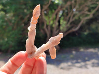 Natural Drusy Quartz Coated Black Tipped Calcite Pseudomorph Specimens x 12 From Albert's Mountain, Lesotho