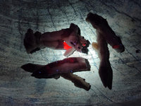 Natural Drusy Quartz Coated Black Tipped Calcite Pseudomorph Specimens x 12 From Albert's Mountain, Lesotho