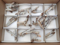 Natural Drusy Quartz Coated Black Tipped Calcite Pseudomorph Specimens x 12 From Albert's Mountain, Lesotho