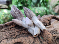 Natural Drusy Quartz Coated Black Tipped Calcite Pseudomorph Specimens x 12 From Albert's Mountain, Lesotho