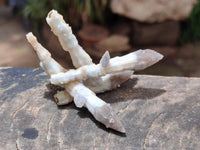 Natural Drusy Quartz Coated Black Tipped Calcite Pseudomorph Specimens x 12 From Albert's Mountain, Lesotho