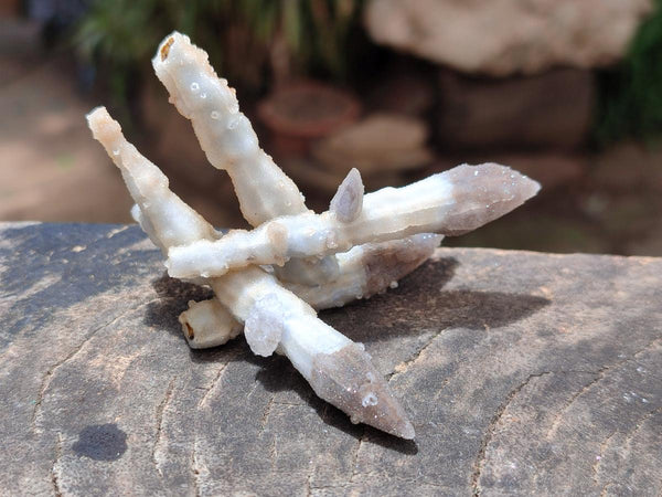 Natural Drusy Quartz Coated Black Tipped Calcite Pseudomorph Specimens x 12 From Albert's Mountain, Lesotho