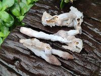 Natural Drusy Quartz Coated Black Tipped Calcite Pseudomorph Specimens x 12 From Albert's Mountain, Lesotho