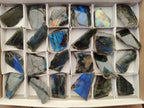 Polished On One Side Labradorite Specimens x 24 From Tulear, Madagascar