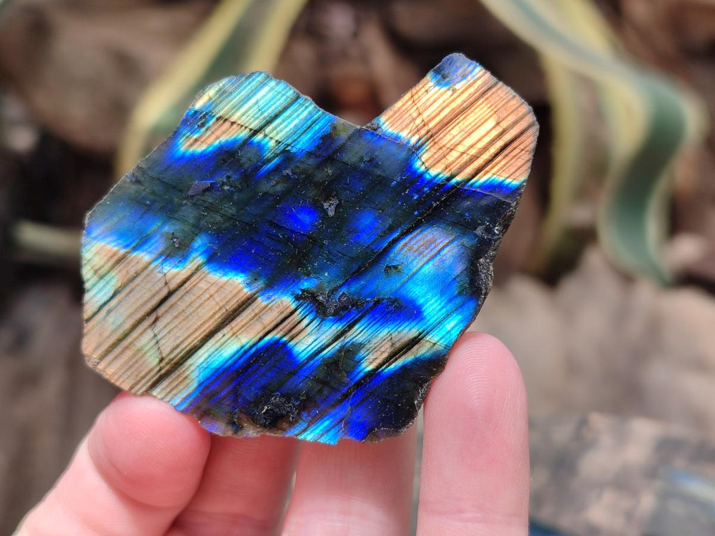 Polished On One Side Labradorite Specimens x 24 From Tulear, Madagascar