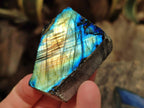 Polished On One Side Labradorite Specimens x 24 From Tulear, Madagascar