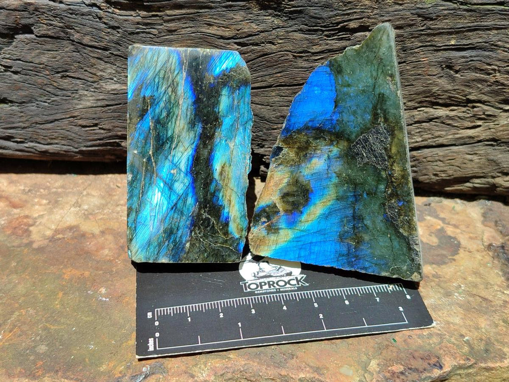 Polished On One Side Labradorite Specimens x 24 From Tulear, Madagascar