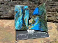 Polished On One Side Labradorite Specimens x 24 From Tulear, Madagascar