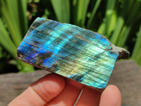 Polished On One Side Labradorite Specimens x 24 From Tulear, Madagascar