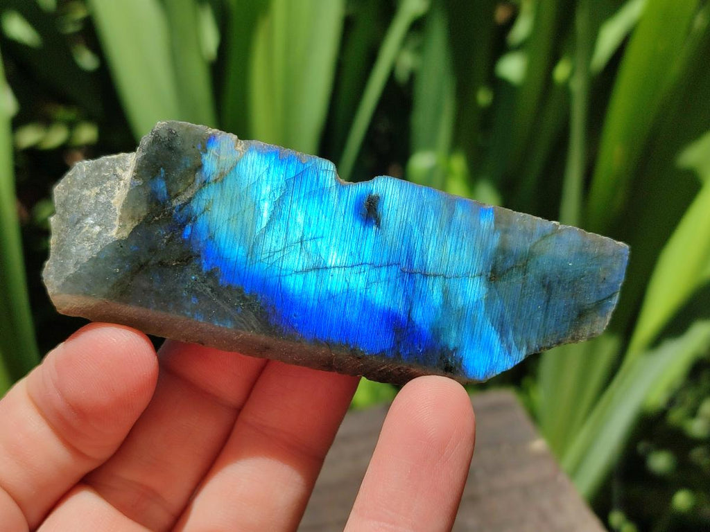 Polished On One Side Labradorite Specimens x 24 From Tulear, Madagascar