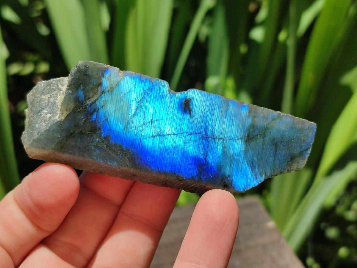 Polished On One Side Labradorite Specimens x 24 From Tulear, Madagascar