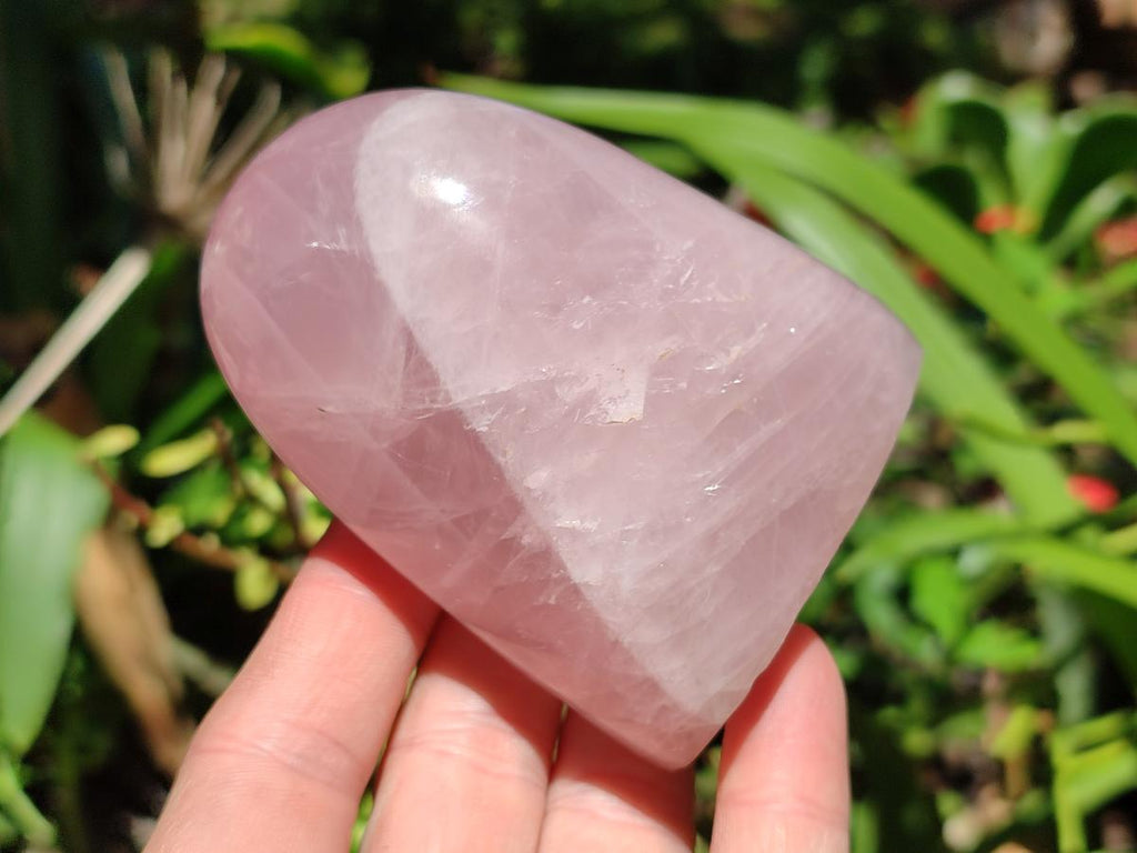 Polished Rose Quartz Standing Free Form x 4 From Madagascar