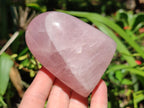 Polished Rose Quartz Standing Free Form x 4 From Madagascar