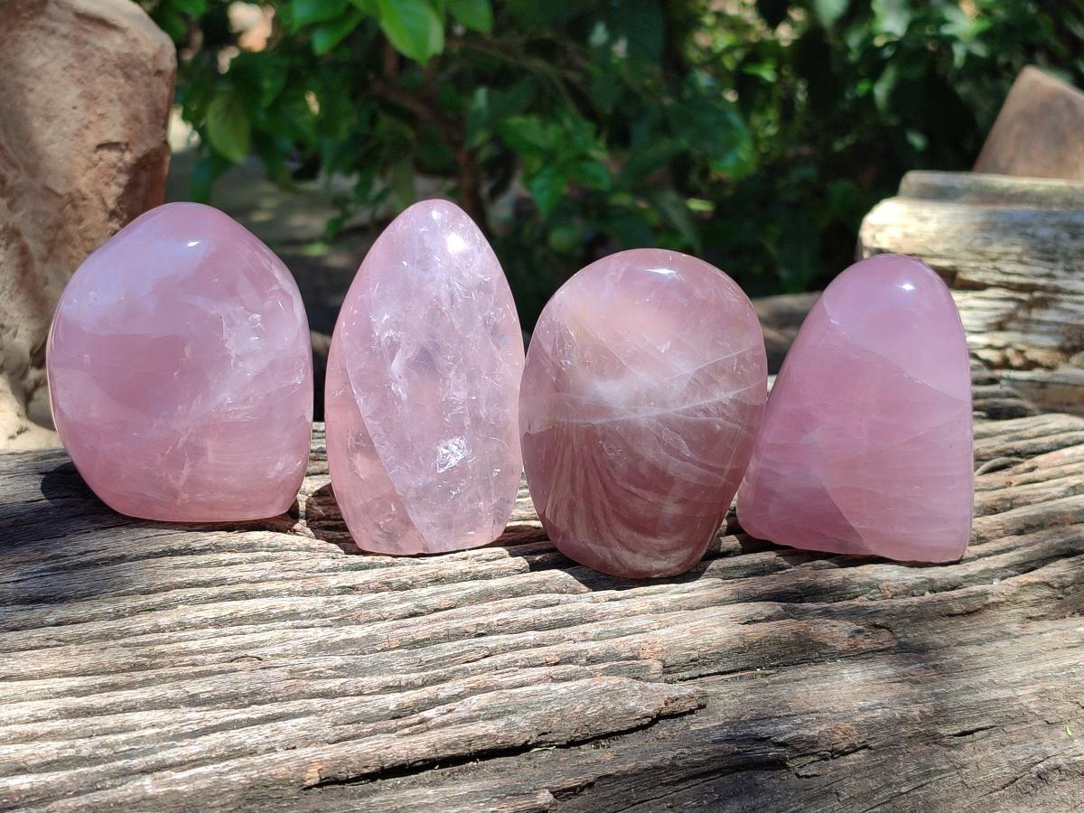 Polished Rose Quartz Standing Free Form x 4 From Madagascar